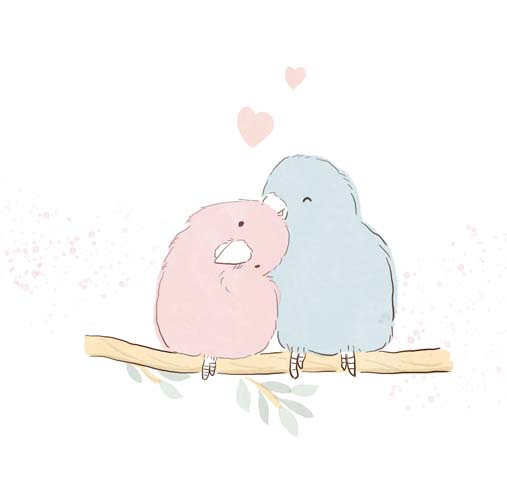 vogelkuss Vögel küssen
